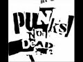 PUNKS NOT DEAD PUNKS NOT DEAD