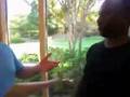 Auctions & Foreclosures: DROdio Real Estate attends