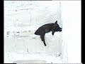 mykonos-2007.html