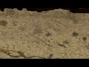 California Dreamin Teaser #2