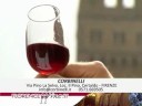 Azienda Agricola Corbinelli - Florence Wine (eng) 29