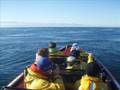 Whale Watching Oct 22 2008 10AM Mike oceanexplorations.com