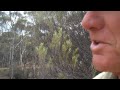On-site video explanation of drilling program at Mt Marion #lithium project - http://bit.ly/40VTEQ #asx