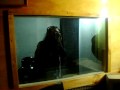 deepjamstudio grabacion whispers fandiño