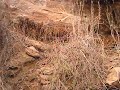 Fern Cave
