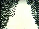 mold mold