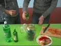 Making Kimchi alcoholic drinks (??? ???) by korean students