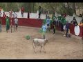 arte bajoaragones en ariño futbol vaca arte bajoaragones en ariño futbol vaca