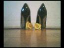 vbfmp presents master or slave vbfmp presents master or slave