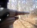 gun