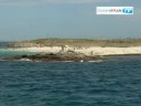 videos voile