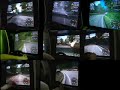 Koreainitiald sample video no.1 Koreainitiald sample video no.1