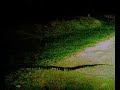 snake Krabi thailand