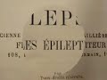 History of epilepsy, the book of Fere (1890) illustrations