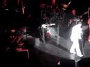 The Elvis Collection - *Starring Billy J McGregor!!*