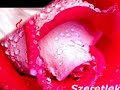 szerelem.html