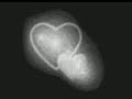 Magical Love
