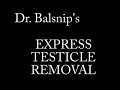 Testicle removal for only $100!
