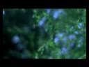 JEREMY JAY \"HEAVENLY CREATURES\" Directed by Bryce Kass JEREMY JAY \"HEAVENLY CREATURES\" Directed by Bryce Kass