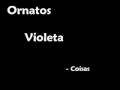 Ornatos Violeta - Coisas