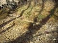 Alpi Apuane - La grotta all'onda