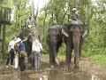 CHITWAN TOUR