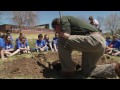 Earth Day Tree Plant