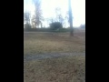 Longview