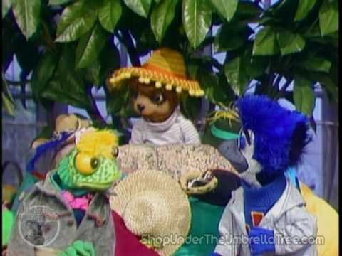 how to care for an umbrella tree