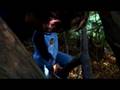 Kai climbing tree