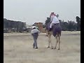 شباب يعيدوا امجاد اجدادهم
