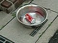 Click here to watch this video チョー危険!! コーラ爆弾 大爆発!?