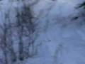 videos de kylesnow2.mov