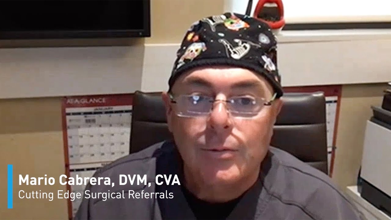 Listen to Dr. Cabrera's experience with VETIGEL®