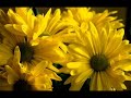 Relaxamento, Oração, Harmonia
