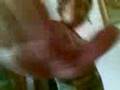 rafael.. mis hermanos..!