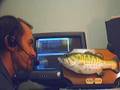AutoTutor Billy Bass Talking Fish