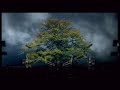 William Orbit - Barber's Adagio For Strings (F. Corsten Rmx) William Orbit - Barber's Adagio For Strings (F. Corsten Rmx)