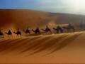 Sahara Serenade ~ Cavanserai