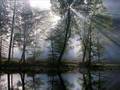 Mabye  nature