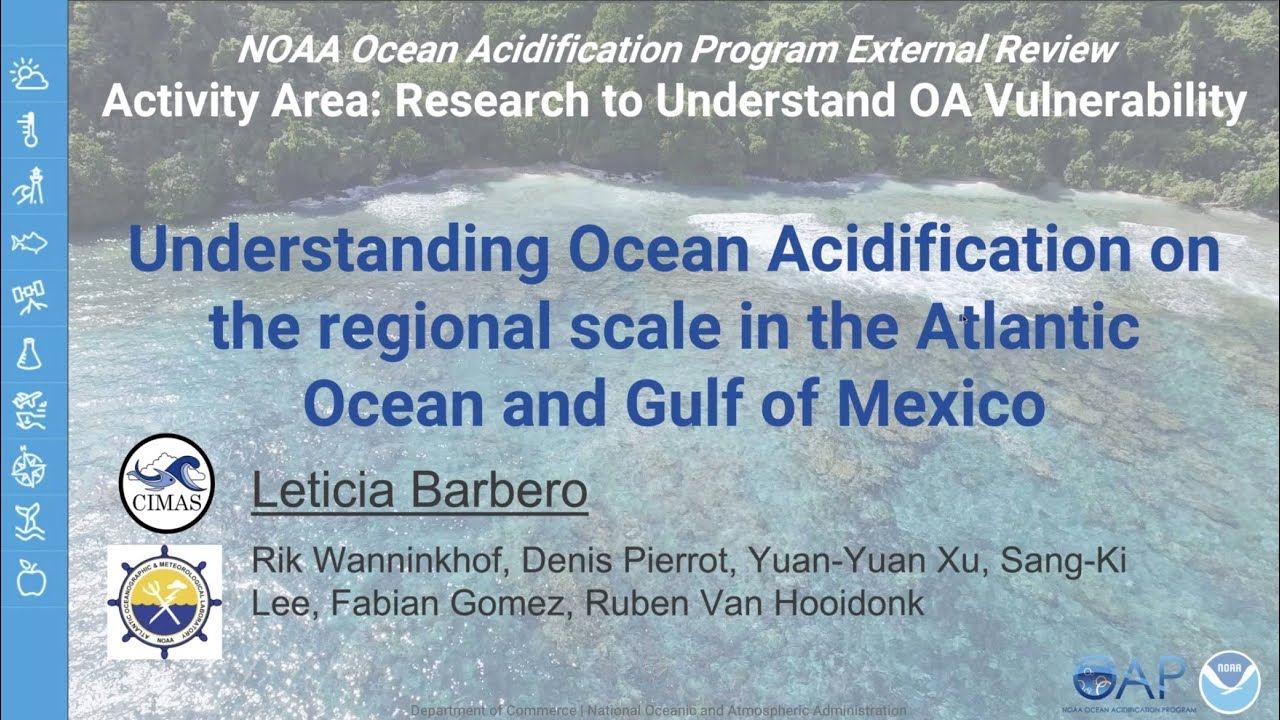 Activity Area 2:<br> Understanding OA on the regional scale in the Atlantic Ocean and Gulf of Mexico