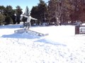 los petaos los petaos