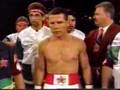 BOXEADORES MEXICANOS