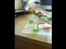 GUMMI BEARS!!