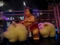 I like big butts and I cannot lie -- Sumo vs Pigs
