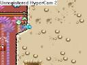 Yoshi\