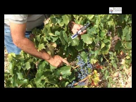 Le domaine de Montine, Grignan, Secrets de Terroir en Drôme Provençale