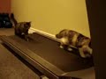 Catwalking Catwalking