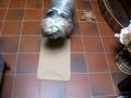 Kai and the wooden board take 2