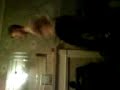 Hornsea Ginner Breakdancing